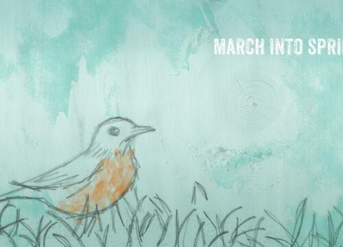 Robin's Egg Blue Wallpaper Preview - March into Spring with Wood Texture and a Pencil Sketched Robin