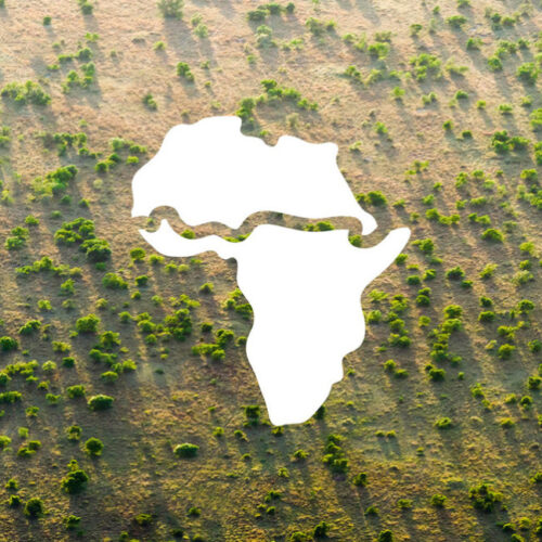 Great Green Wall Icon, African Sahel, a new wonder of the world