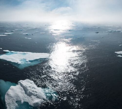 Greenland Sea, open water with broken icebergs, sun reflection, william bosen via unsplash