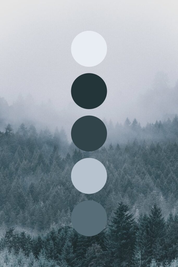 Misty evergreen forest, color palette inspiration, color circles, frosty dark greens, misty blues
