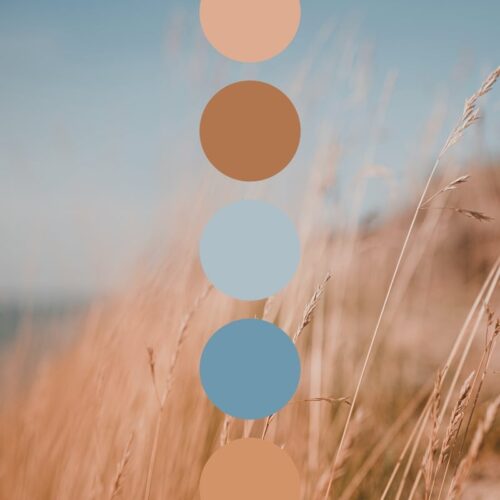 Beach grass on a sand dune, color palette circles on top, naturally inspired colors, muted sky blues, dusty orange browns and beiges